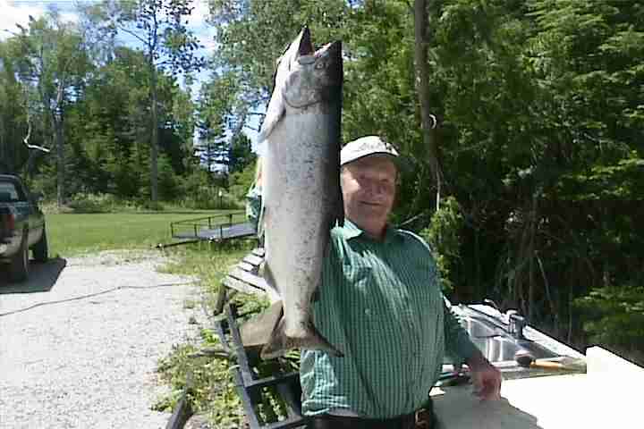 23 lb. salmon from Lake Huron, just East of Black's Bay Lodge