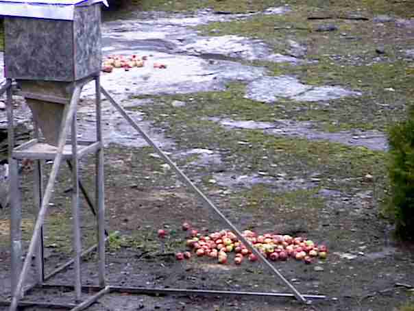 deer feeder